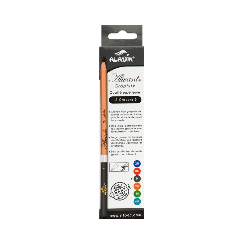 Boite de 12 crayons noirs B