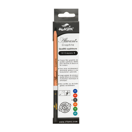 Boite de 12 crayons noirs B